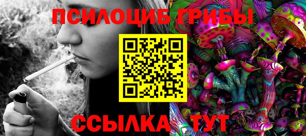купить  цена  Вход с VPN  Саранск  Галлюциногенные грибы GOLDEN TEACHER  Псилоцибиновые грибы ЛСД 