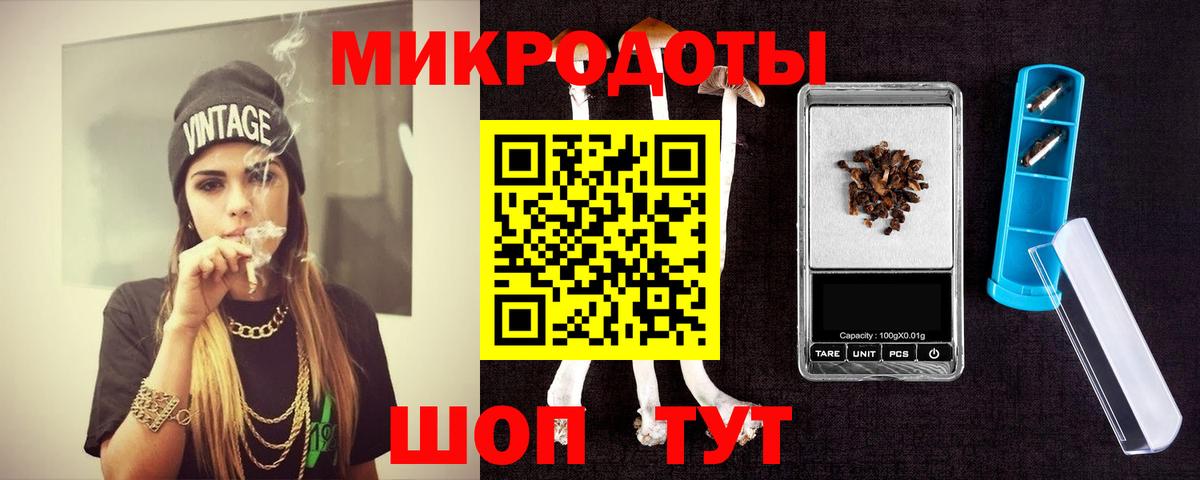 Псилоцибиновые грибы мицелий Саранск